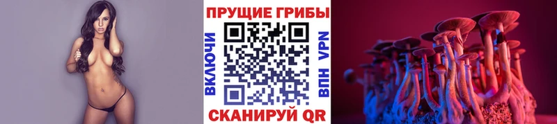 Купить закладки  Щёлкино  Галлюциногенные грибы Cubensis 